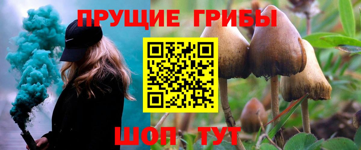 Вышний Волочёк  Галлюциногенные грибы Magic Shrooms  Псилоцибиновые грибы прущие грибы  Вход с VPN 